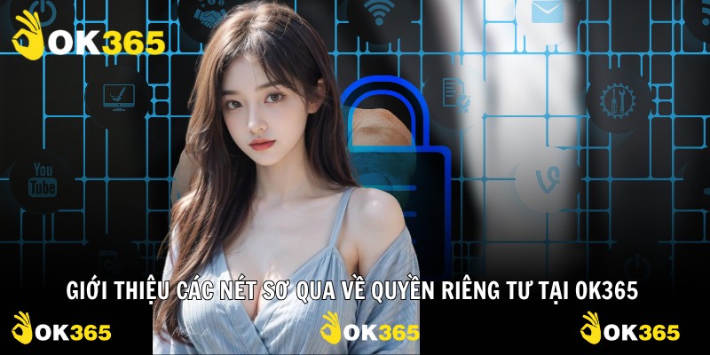 Giới thiệu các nét sơ qua về quyền riêng tư tại OK365 